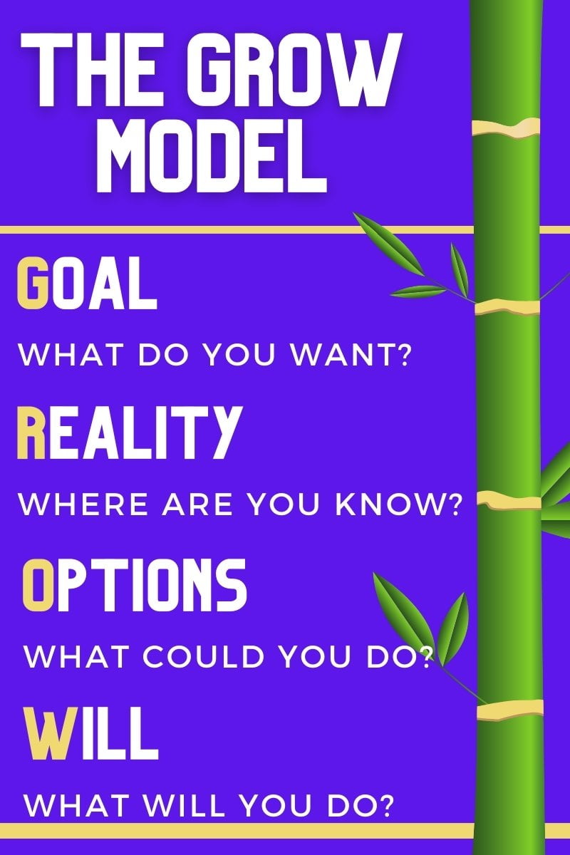 The Grow Model - Goal, Reality, Options and Will