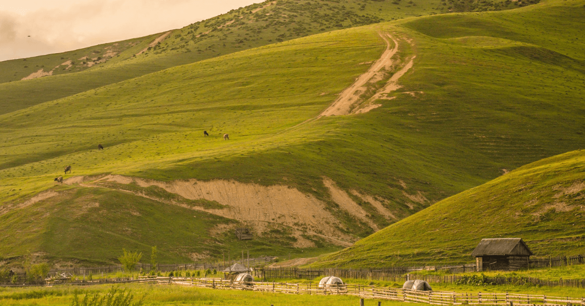 A lovely hill in the suns